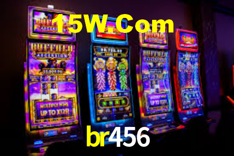 Premium Interface br456